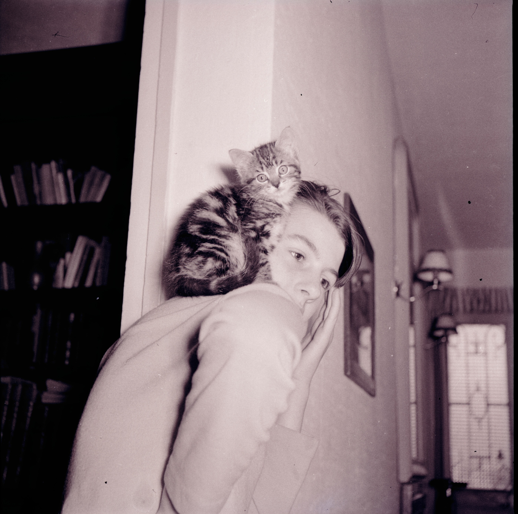 Portrait ancien d’une femme tenant un singe